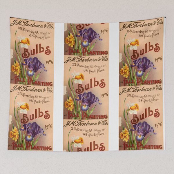 Item preview, Vintage 1906 Thorburn & Co. Spring Bulb Catalog designed and sold by MochaMeli.
