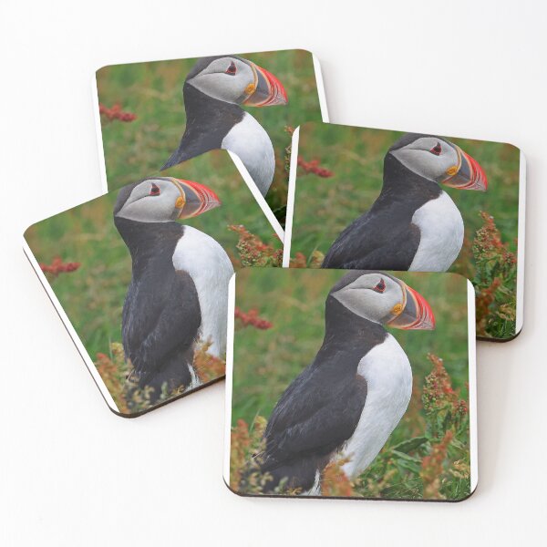 Item preview, Atlantic Puffin designed and sold by Anthony Goldman.