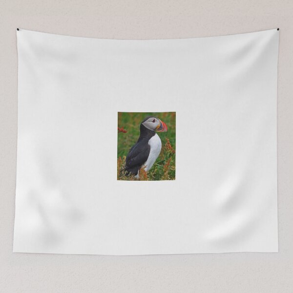 Item preview, Atlantic Puffin designed and sold by Anthony Goldman.