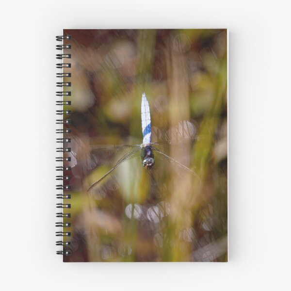 Item preview, Dragonfly in Flight designed and sold by Graham Prentice.