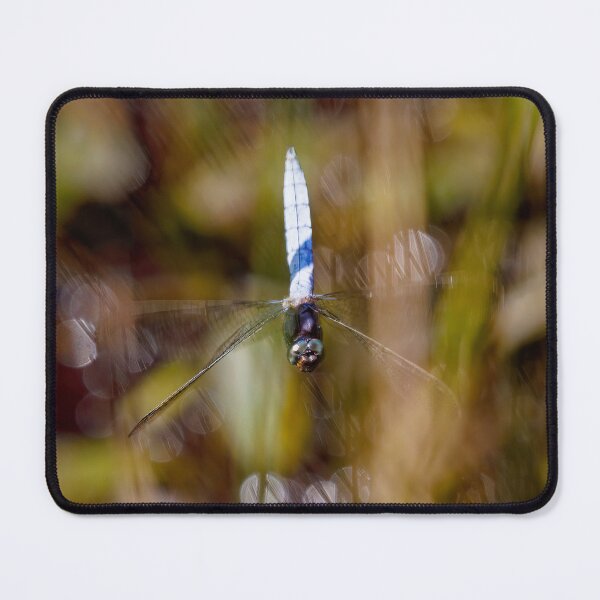 Item preview, Dragonfly in Flight designed and sold by Graham Prentice.