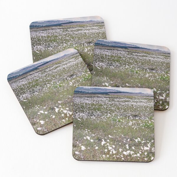 Item preview, Yorkshire Moorland Cottongrass designed and sold by Martyn R Arnold Fine Art Nature & Landscape Photography.