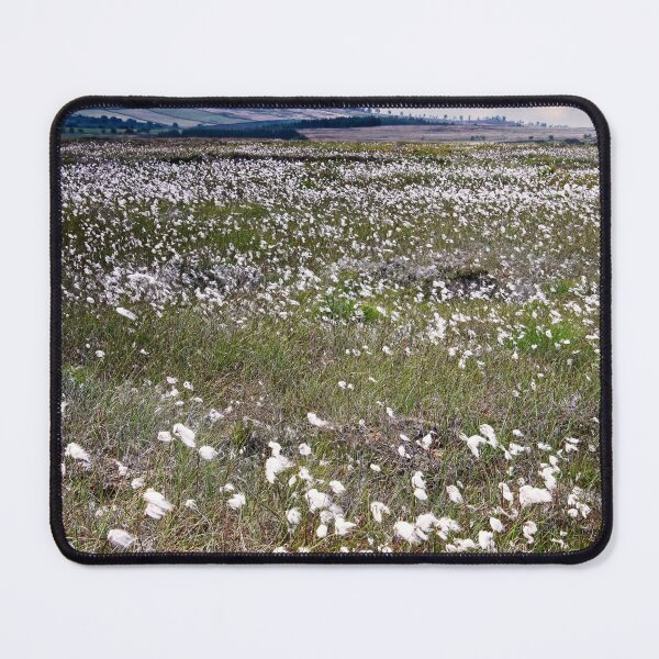 Item preview, Yorkshire Moorland Cottongrass designed and sold by Martyn R Arnold Fine Art Nature & Landscape Photography.