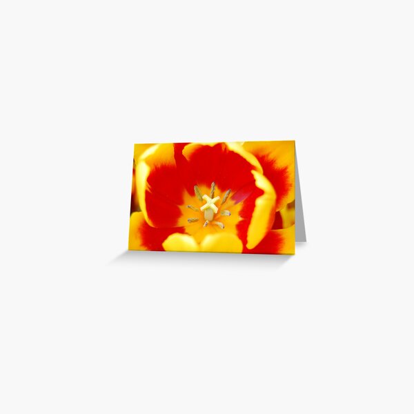 Innermost Being Greeting Card