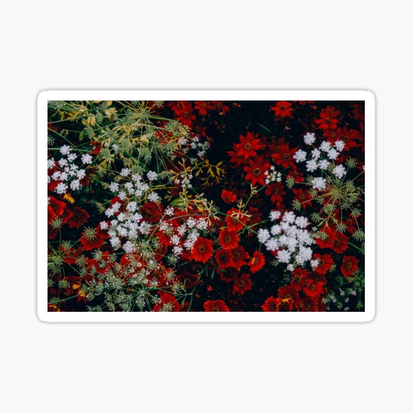 Item preview, Red and white flowers designed and sold by InHerits.