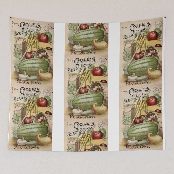 Item preview, Vintage 1900 Cole's Seed Store Ad designed and sold by MochaMeli.