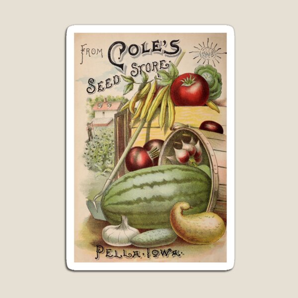 Item preview, Vintage 1900 Cole's Seed Store Ad designed and sold by MochaMeli.