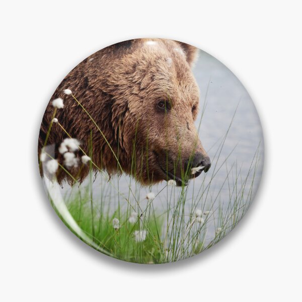 Item preview, Feeling for a small bite.  Brown bear designed and sold by Jouko Lehto Photography.