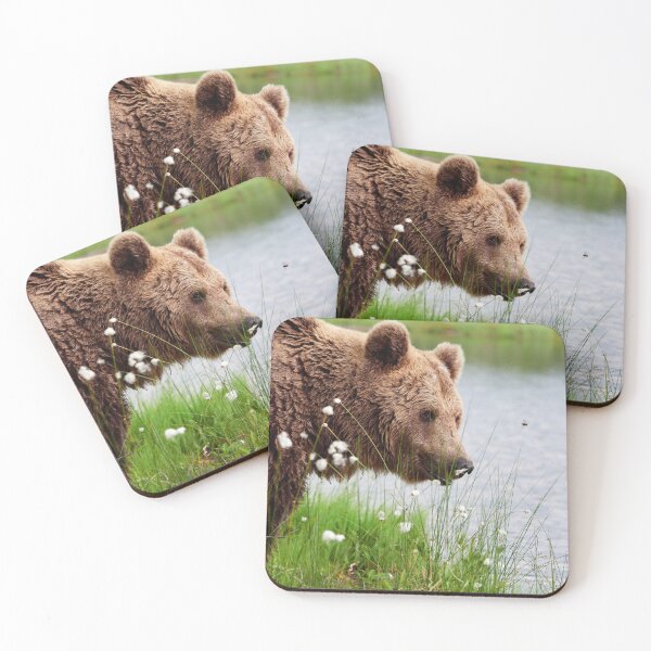 Item preview, Feeling for a small bite.  Brown bear designed and sold by Jouko Lehto Photography.
