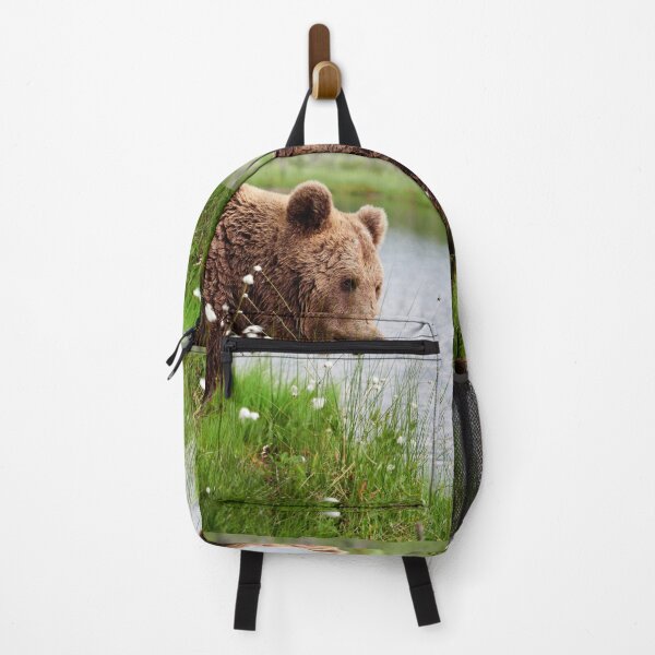 Item preview, Feeling for a small bite. Brown bear designed and sold by Jouko Lehto Photography.