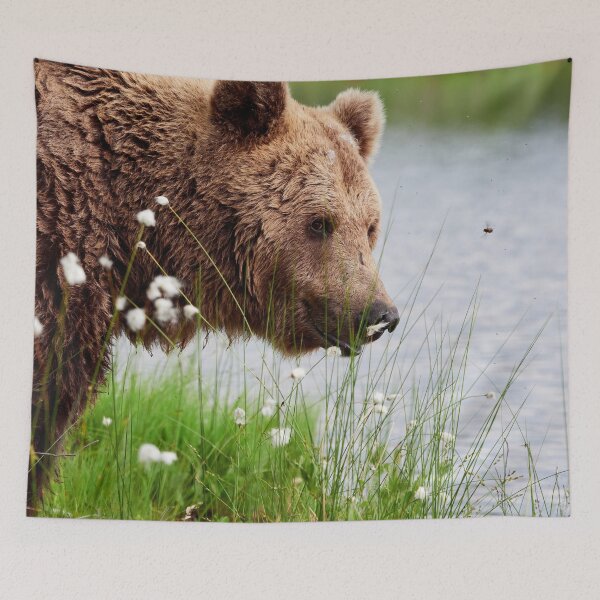 Item preview, Feeling for a small bite.  Brown bear designed and sold by Jouko Lehto Photography.