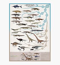 Tetrapods of the Oxford Clay Formation Photographic Print