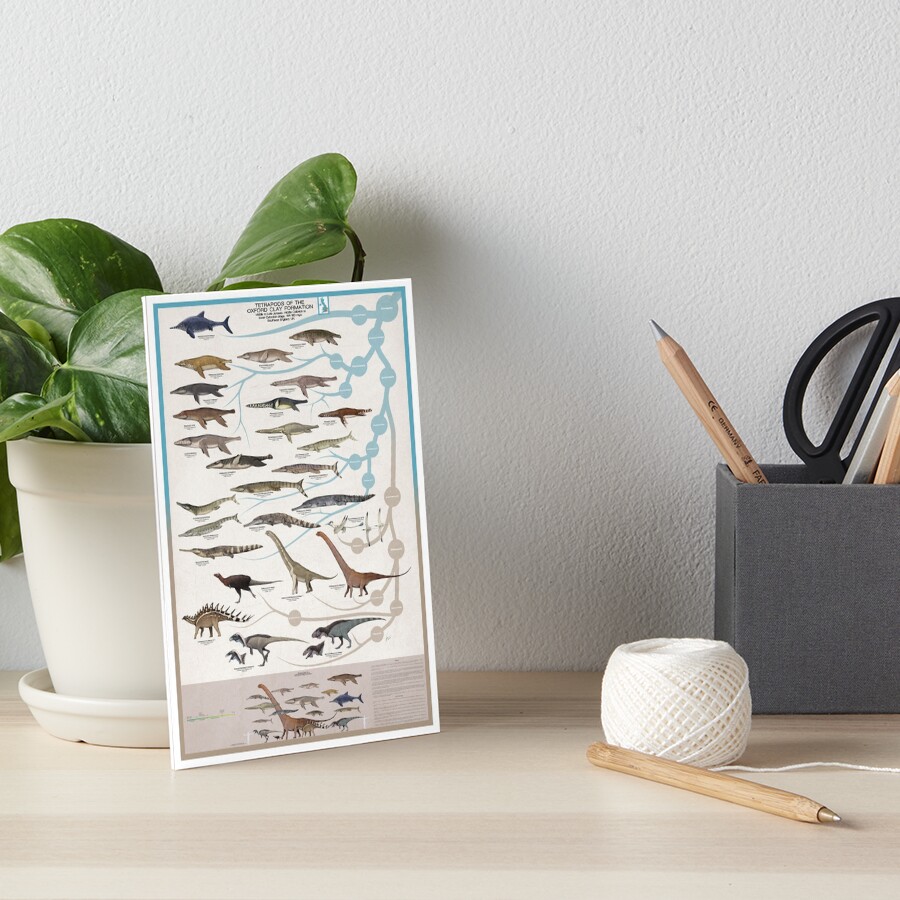 "Tetrapods of the Oxford Clay Formation" Art Board Print for Sale by