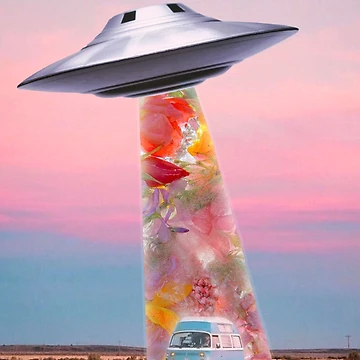 Artwork thumbnail, Unidentified Object  by _InTheGreenhouse