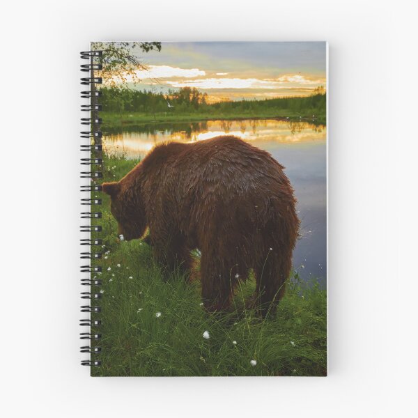 Item preview, To the sunset. Brown bear designed and sold by Jouko Lehto Photography.
