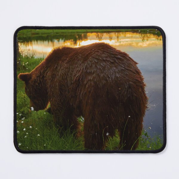 Item preview, To the sunset. Brown bear designed and sold by Jouko Lehto Photography.
