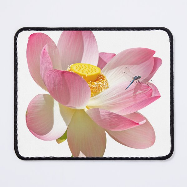 Item preview, Pink Lotus with Blue Dragonfly designed and sold by TJ Devadatta Best.