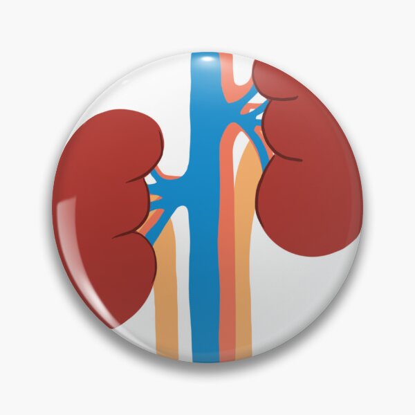 Item preview, Kidneys designed and sold by Shiraz Harel.