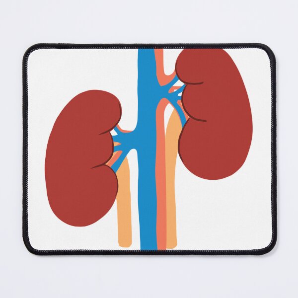 Item preview, Kidneys designed and sold by Shiraz Harel.