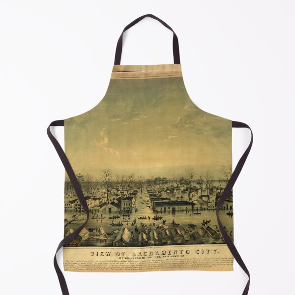 Item preview, Sacramento, California during the flood of January 1850 designed and sold by allhistory.