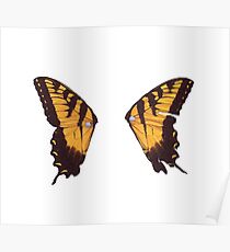 Paramore Butterfly Poster