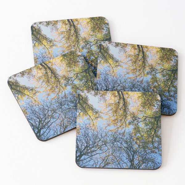 Item preview, Tree Canopy Changing Seasons View designed and sold by CarolinaReina.