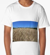 May be seen? Long T-Shirt