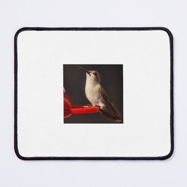 Item preview, FEMALE ANNA'S HUMMINGBIRD SITTING BIRD FEEDER WAITING FOR OTHERS TO JOIN HER designed and sold by JAYMILO.