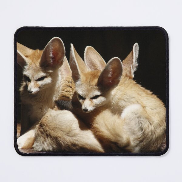 Item preview, Fennec designed and sold by Mystery1.