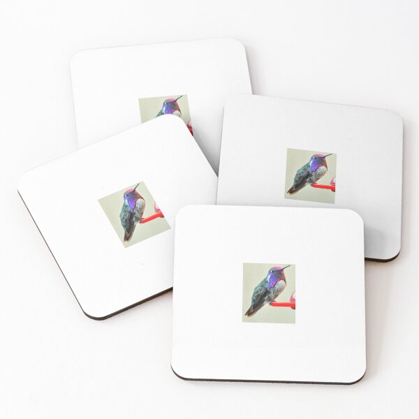 Item preview, MALE COSTA'S  HUMMINGBIRD SITTING BIRD FEEDER WAITING FOR OTHERS TO JOIN HIM designed and sold by JAYMILO.
