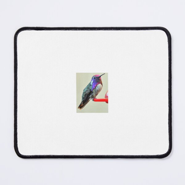 Item preview, MALE COSTA'S  HUMMINGBIRD SITTING BIRD FEEDER WAITING FOR OTHERS TO JOIN HIM designed and sold by JAYMILO.