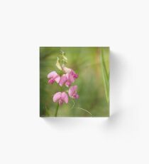 Sweet Pea Acrylic Block
