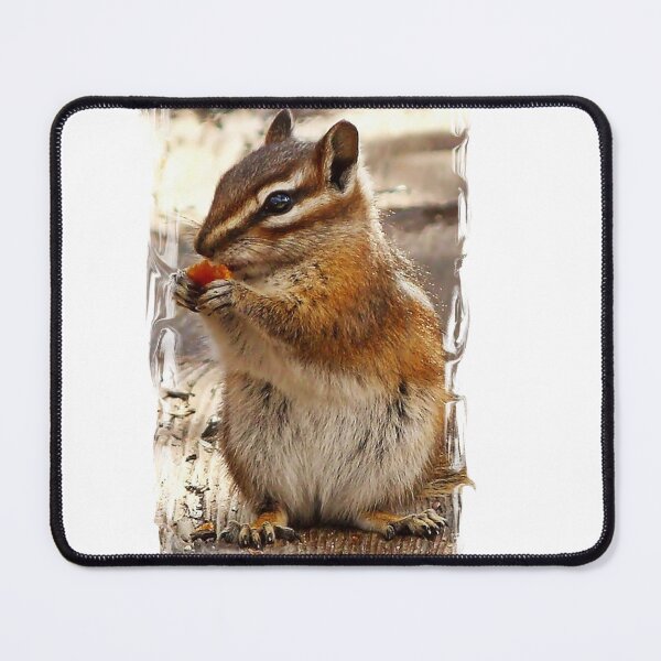 Item preview, Cute chipmunk designed and sold by ibelieveimages.