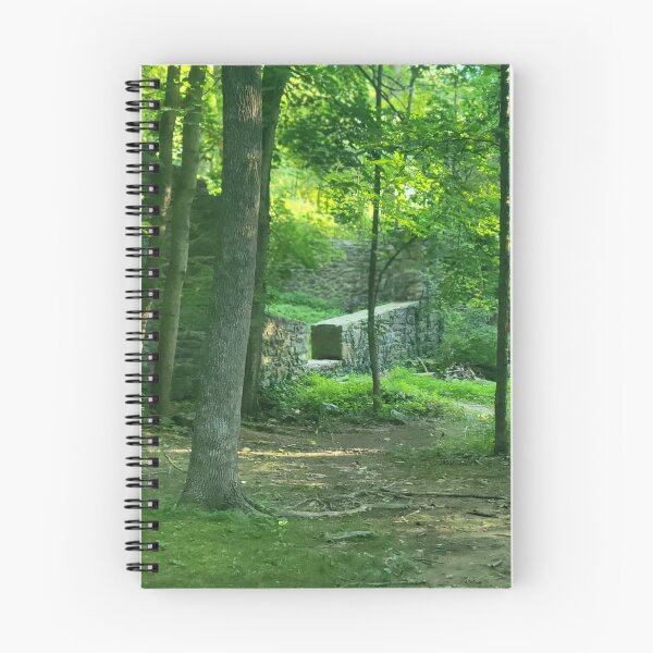 Item preview, Trail to stone ruins designed and sold by Did-we-do-that.