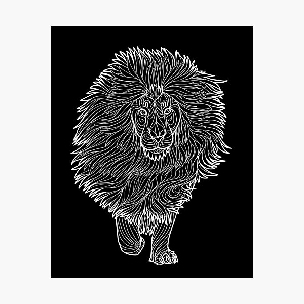 Explore 1,649+ Free Lion Illustrations: Download Now - Pixabay