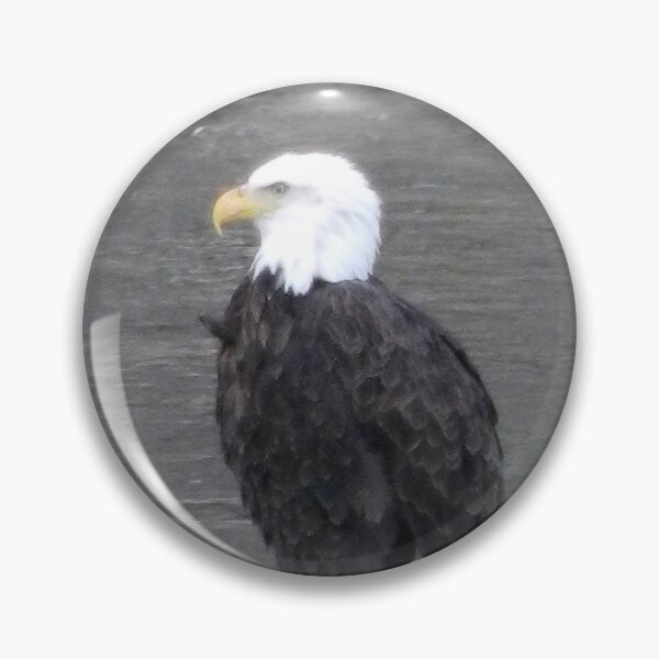 Item preview, Eagle looking for lunch designed and sold by ibelieveimages.