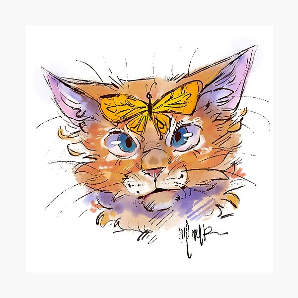 Mango Cat Photographic Print