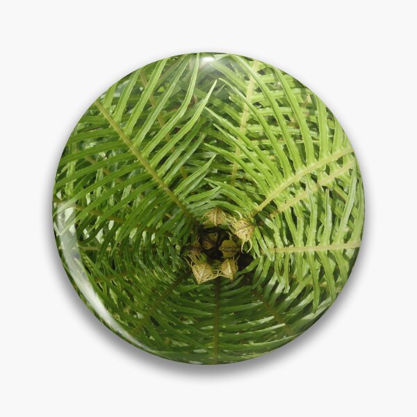 Item preview, Tree Fern Radiation designed and sold by Yampimon.