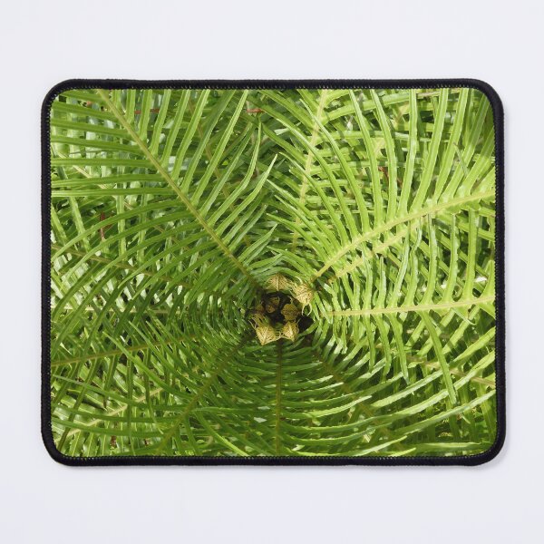 Item preview, Tree Fern Radiation designed and sold by Yampimon.