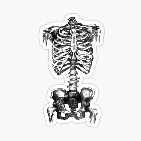 Item preview, Skeleton designed and sold by McMams Makes.