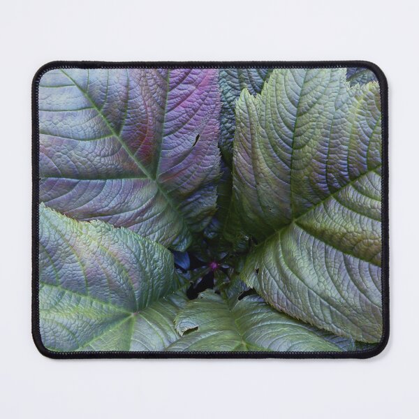 Item preview, Green with a Tinge of Autumn designed and sold by Yampimon.