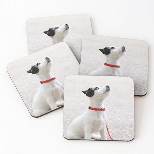 Item preview, Did You Say "Walk"?! designed and sold by Kimberlydodge.