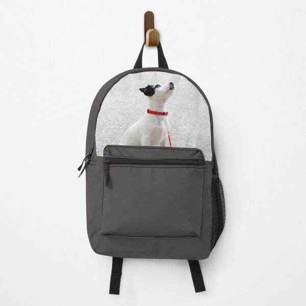Item preview, Did You Say "Walk"?! designed and sold by Kimberlydodge.