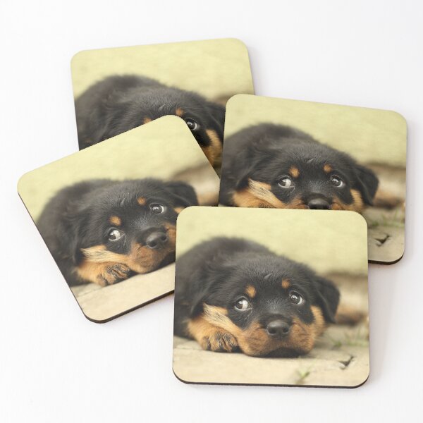 Item preview, So Tuckered Out After a Long Walk designed and sold by Kimberlydodge.