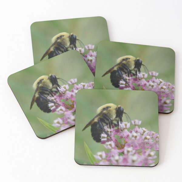 Item preview, Carpenter bee designed and sold by Tonia Delozier's Photography .