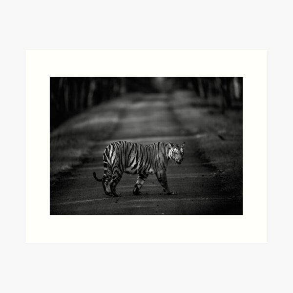 The Tiger Queen Art Print