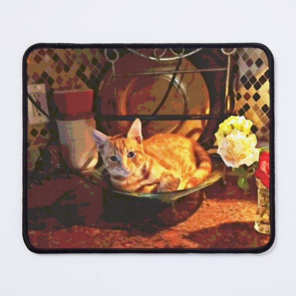 Item preview, Kitty in a Bowl Cute Cat Photograph designed and sold by bipolarvirgoart.