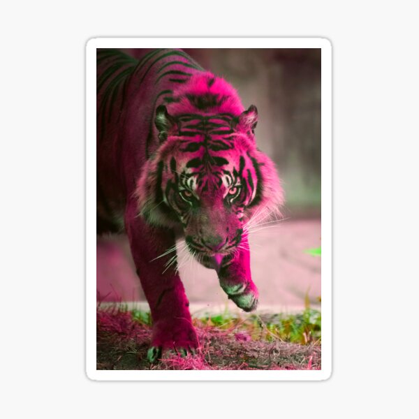 Pink Tiger Sticker