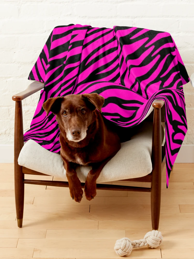 https://ih1.redbubble.net/image.3866234175.3656/ur,pet_blanket_large_lifestyle_chair,tall_portrait,750x1000.webp