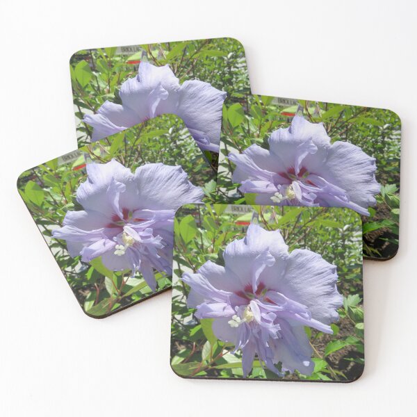 Item preview, Colorful Flower, Jersey City, New Jersey designed and sold by lenspiro.